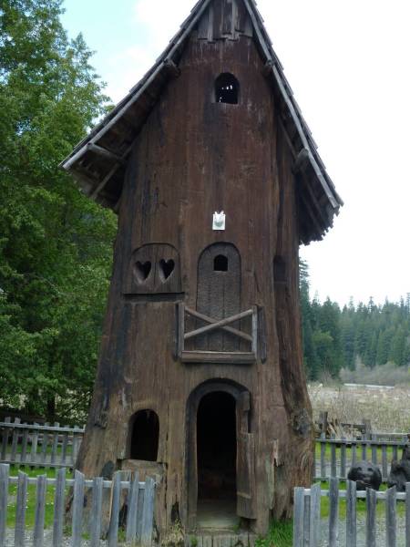 Morning Picdump