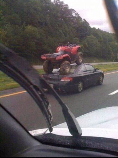 Morning Picdump