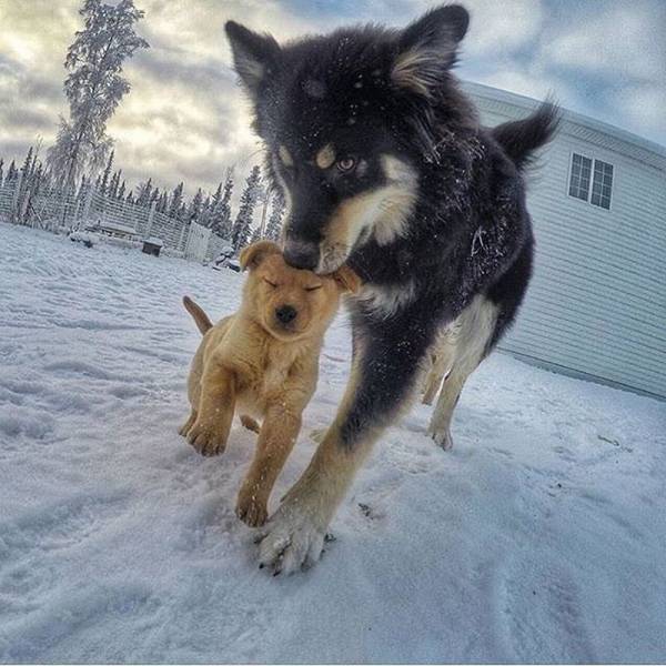 Daily Picdump