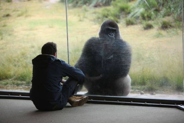 daily picdump 95 pics 4.html - 95 HD Photos | Premium Gallery 2015