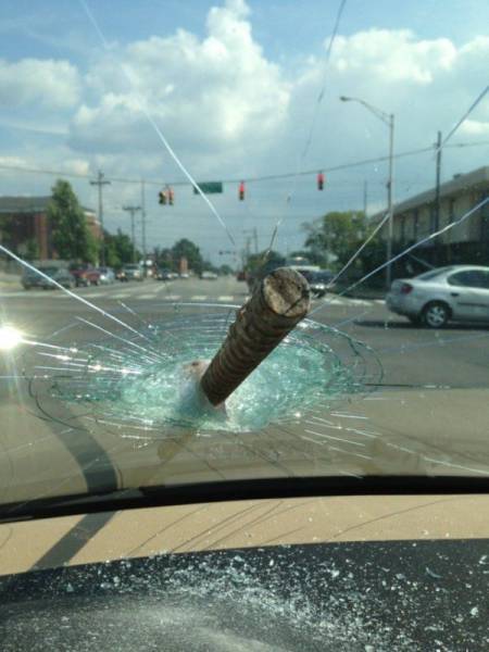daily picdump 95 pics 4.html - 95 HD Photos | Premium Gallery 2015