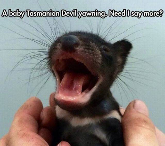 daily picdump 95 pics 4.html - 95 HD Photos | Premium Gallery 2015