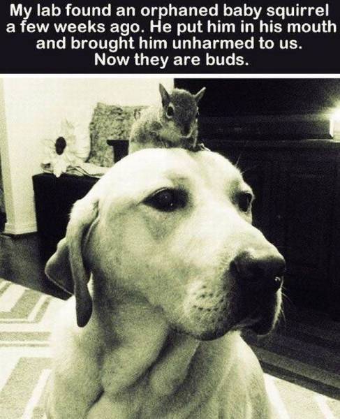 daily picdump 95 pics 4.html - 95 HD Photos | Premium Gallery 2015