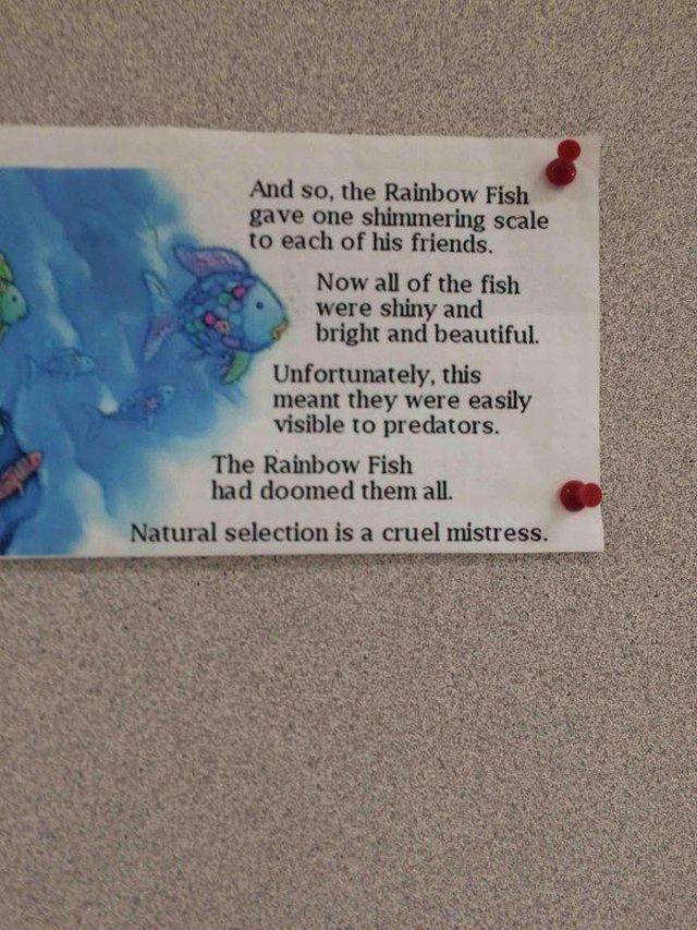 Daily Picdump