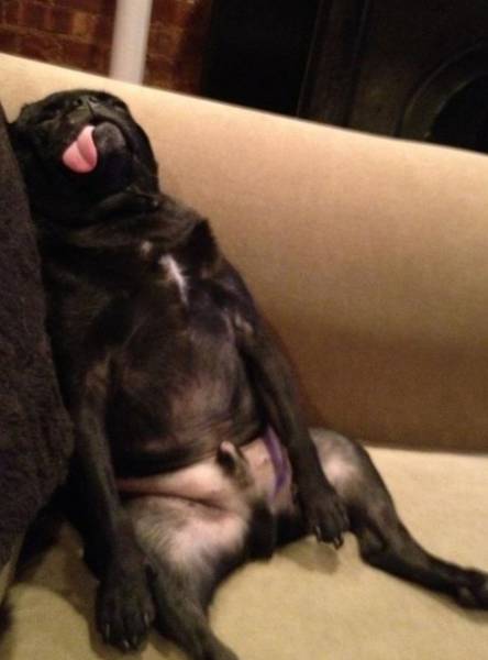 Morning Picdump