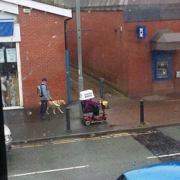 Morning Picdump