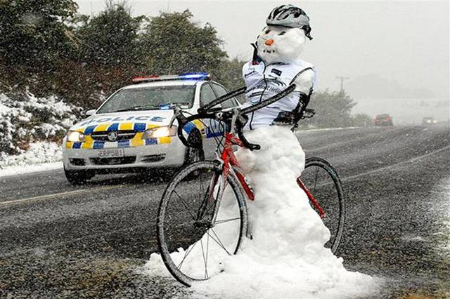 Morning Picdump