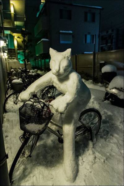 daily picdump 98 pics 78.html - 98 HD Photos | Premium Gallery 2015