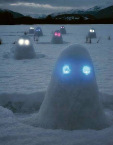 Morning Picdump