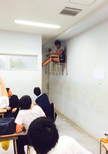 Morning Picdump