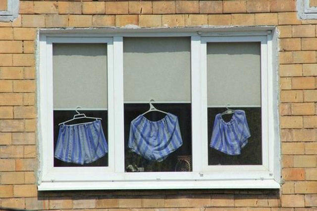 Morning Picdump