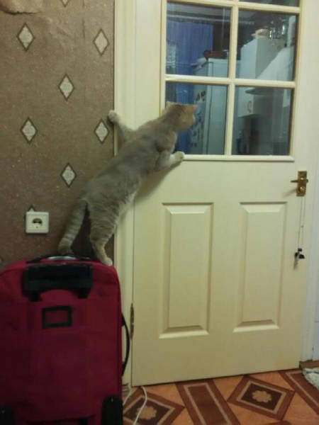 Morning Picdump