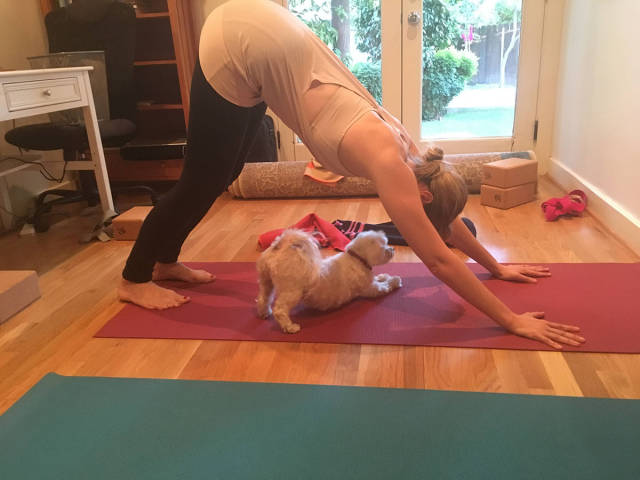 morning picdump 51 pics 7.html - 51 HD Photos | Premium Gallery 2015