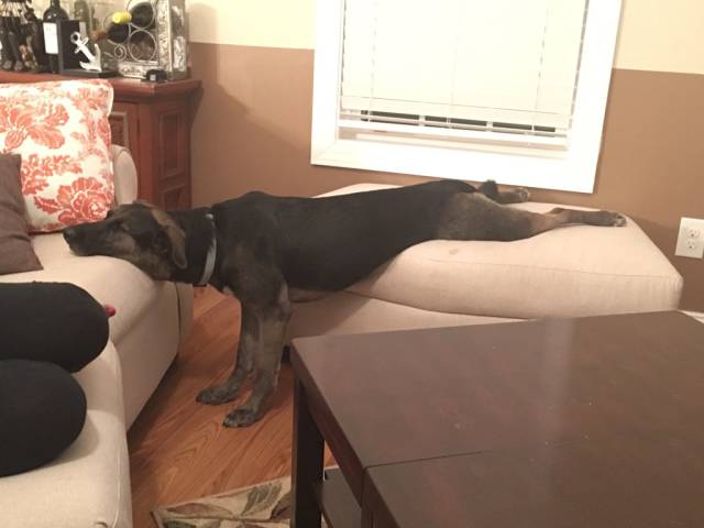 morning picdump 51 pics 7.html - 51 HD Photos | Premium Gallery 2015
