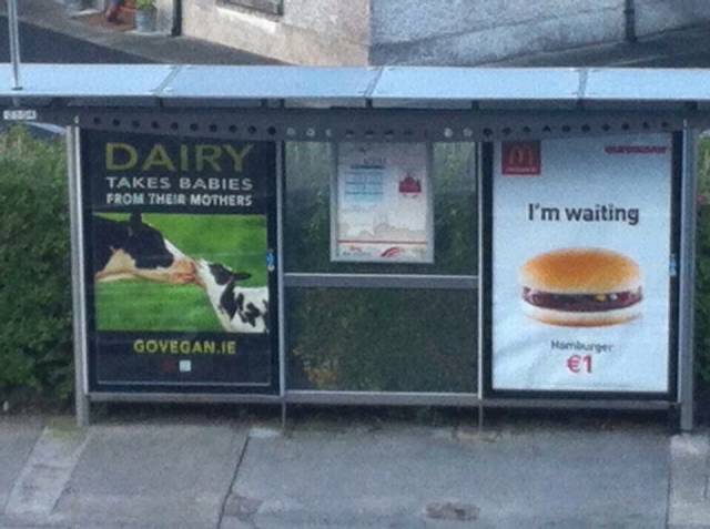 morning picdump 51 pics 7.html - 51 HD Photos | Premium Gallery 2015