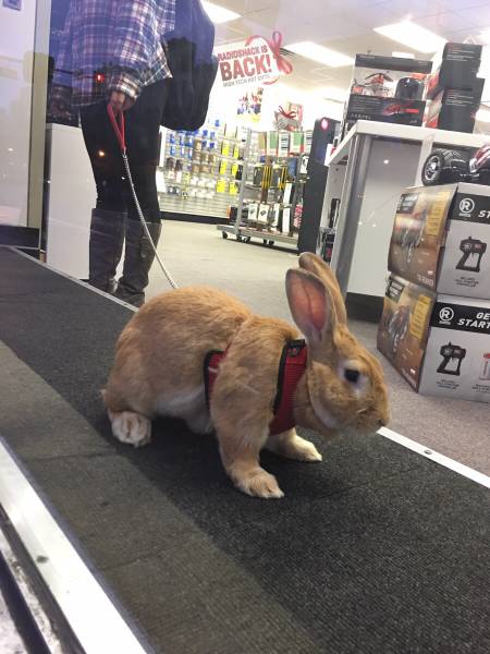 morning picdump 51 pics 7.html - 51 HD Photos | Premium Gallery 2015