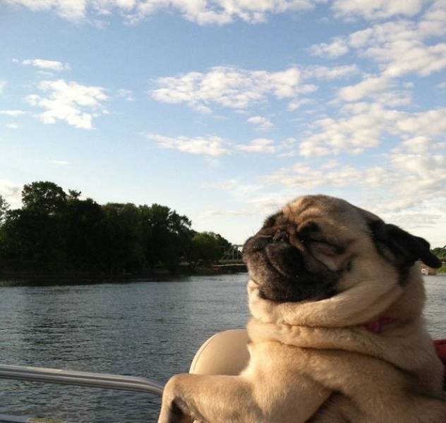 Morning Picdump