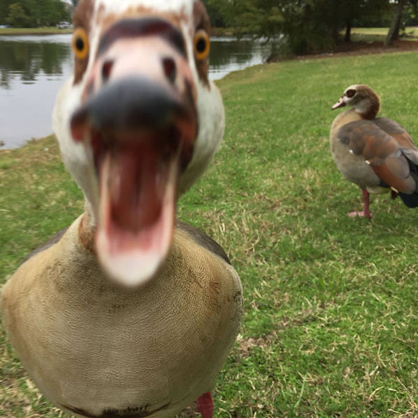 morning picdump 50 pics 7.html - 50 HD Photos | Premium Gallery 2015