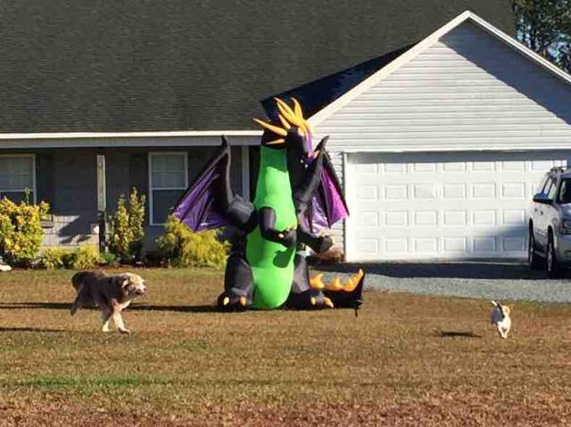 morning picdump 50 pics 7.html - 50 HD Photos | Premium Gallery 2015