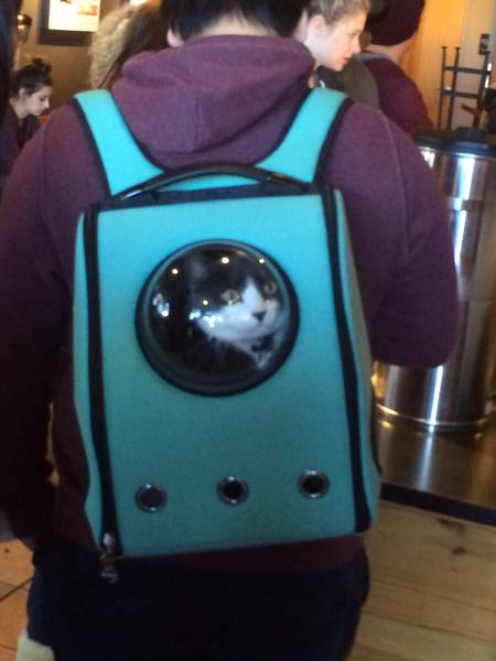morning picdump 50 pics 7.html - 50 HD Photos | Premium Gallery 2015