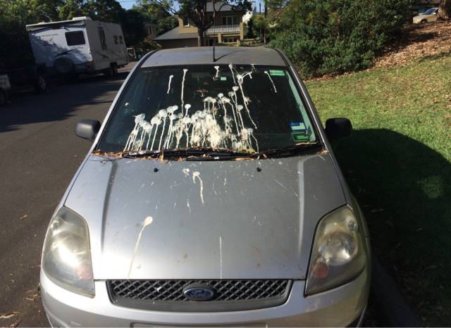 morning picdump 54 pics 16.html - 54 HD Photos | Premium Gallery 2015