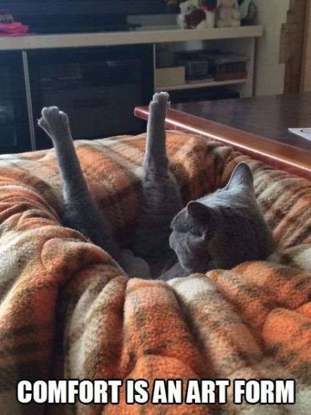 Morning Picdump