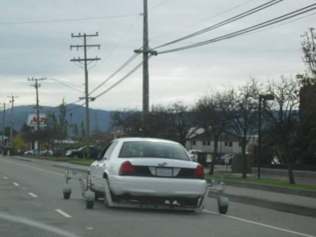 morning picdump 54 pics 16.html - 54 HD Photos | Premium Gallery 2015