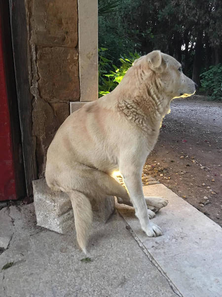 morning picdump 54 pics 16.html - 54 HD Photos | Premium Gallery 2015