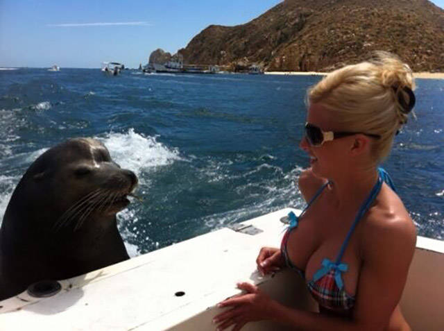 morning picdump 54 pics 16.html - 54 HD Photos | Premium Gallery 2015