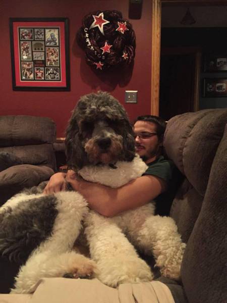 morning picdump 54 pics 16.html - 54 HD Photos | Premium Gallery 2015