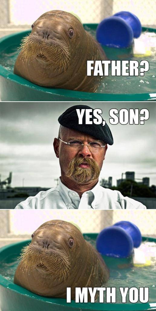 funny picdump 56 pics 4.html - 56 HD Photos | Premium Gallery 2016