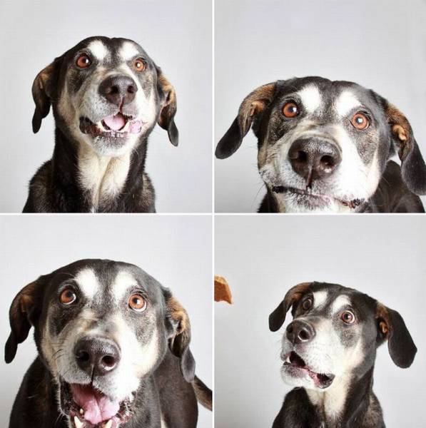 daily picdump 112 pics 41.html - 112 HD Photos | Premium Gallery 2016