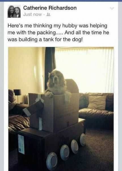 daily picdump 112 pics 41.html - 112 HD Photos | Premium Gallery 2016