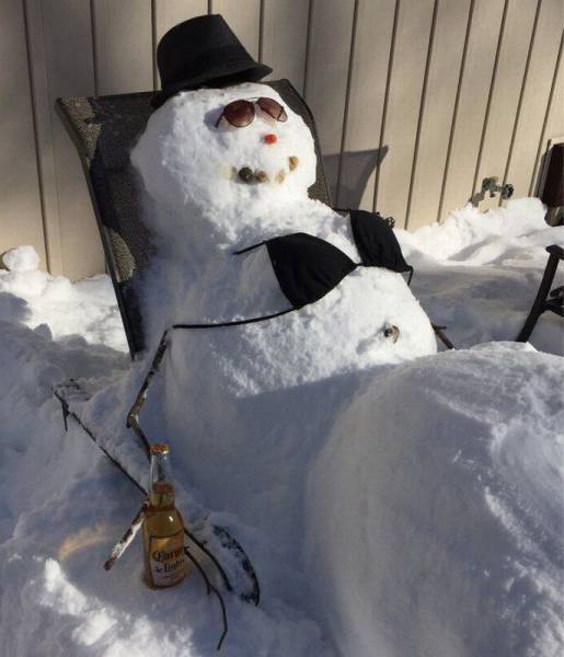 Daily Picdump