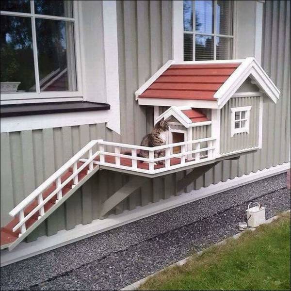 Daily Picdump
