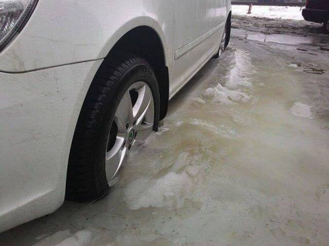 daily picdump 112 pics 41.html - 112 HD Photos | Premium Gallery 2016