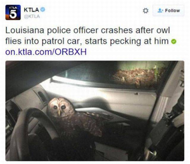 daily picdump 112 pics 41.html - 112 HD Photos | Premium Gallery 2016