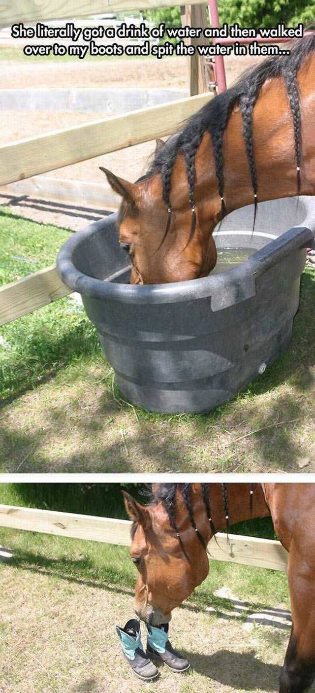 daily picdump 112 pics 41.html - 112 HD Photos | Premium Gallery 2016