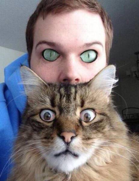 morning picdump 51 pics 3.html - 51 HD Photos | Premium Gallery 2016