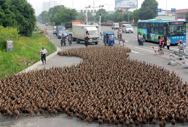 morning picdump 51 pics 3.html - 51 HD Photos | Premium Gallery 2016