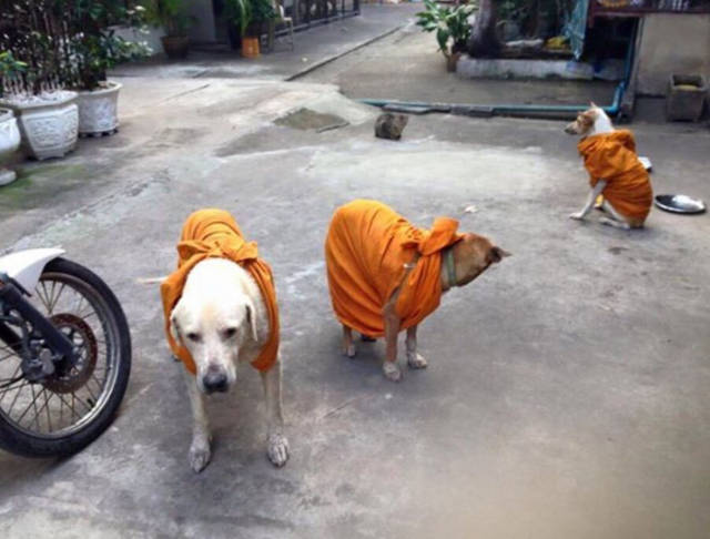morning picdump 51 pics 3.html - 51 HD Photos | Premium Gallery 2016