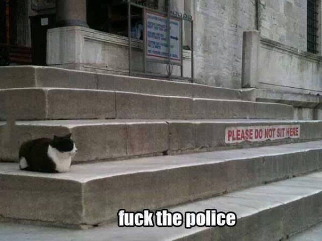funny picdump 52 pics 4.html - 52 HD Photos | Premium Gallery 2016