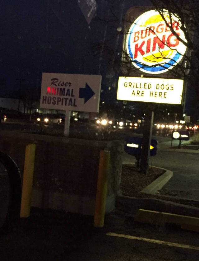 funny picdump 54 pics 21.html - 54 HD Photos | Premium Gallery 2016