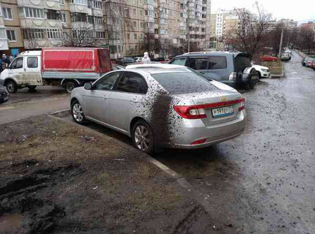 Morning Picdump