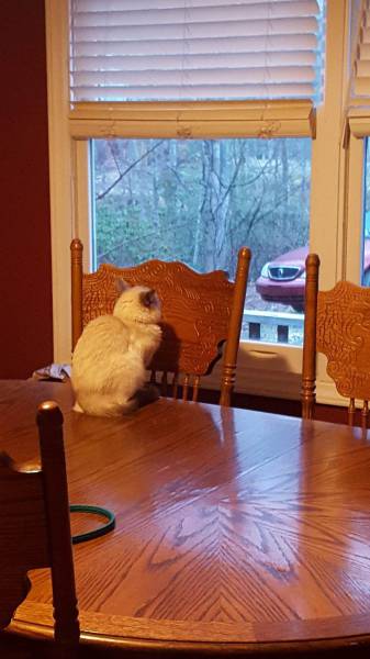 Morning Picdump