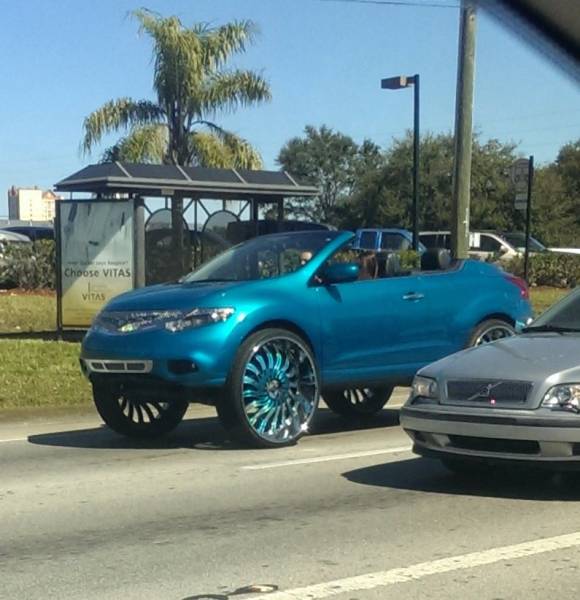 morning picdump 51 pics 4.html - 51 HD Photos | Premium Gallery 2016