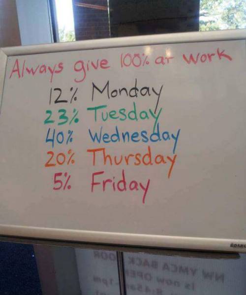 Morning Picdump