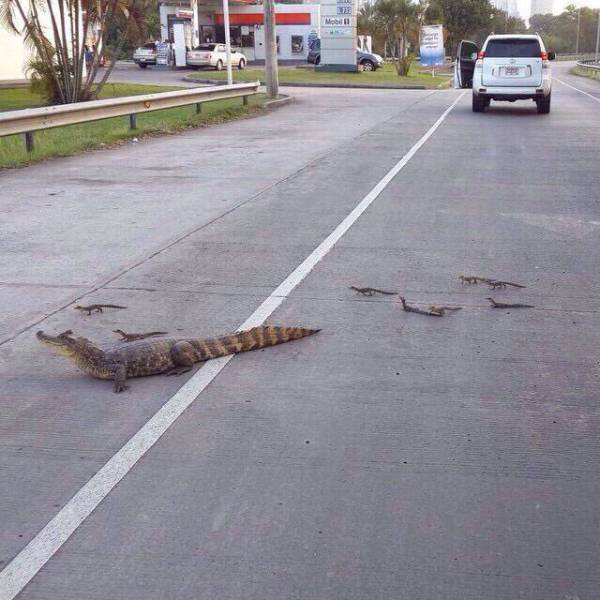morning picdump 53 pics 17.html - 53 HD Photos | Premium Gallery 2016