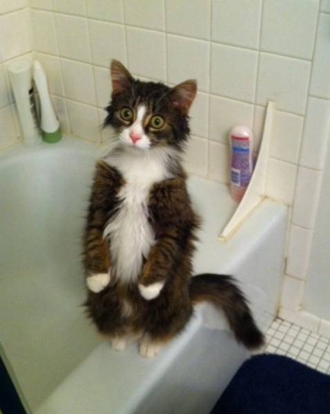morning picdump 50 pics 15.html - 50 HD Photos | Premium Gallery 2016
