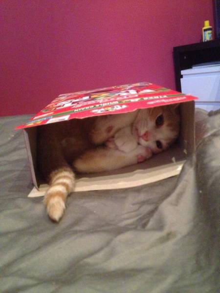 morning picdump 50 pics 11.html - 50 HD Photos | Premium Gallery 2016